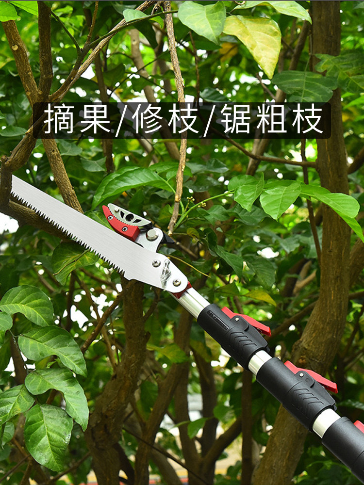 摘柿子神器高枝剪摘枇杷柚子荔枝伸缩加长杆修果树枝高空采摘水果
