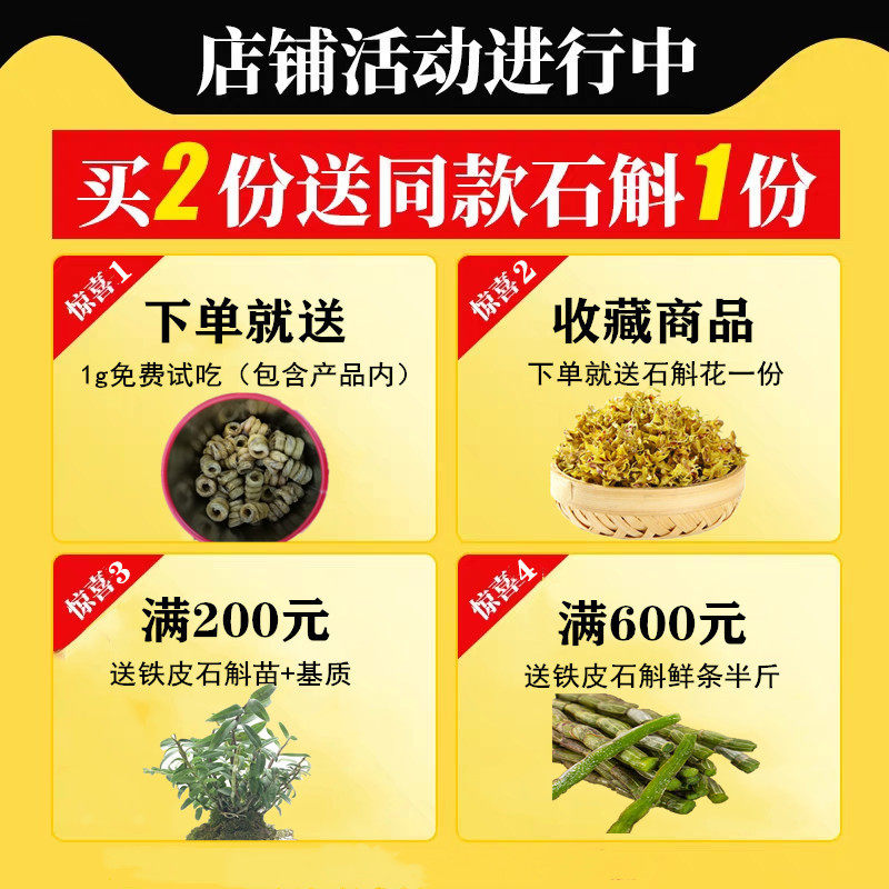 正宗霍山特级太平贩乡500g铁皮石斛 霍山县斛途石斛石斛/枫斗