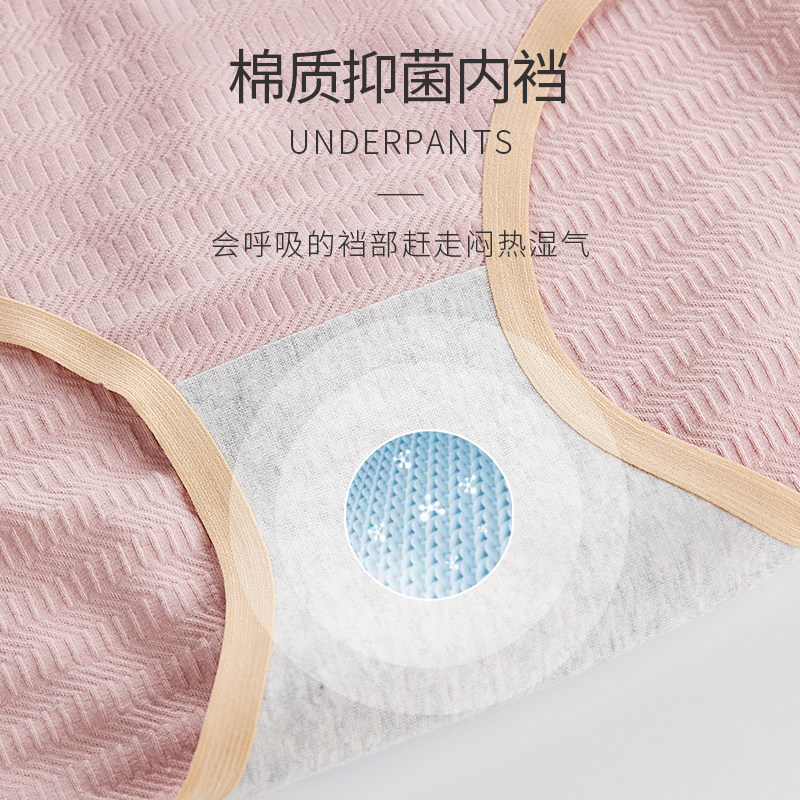 猫人孕妇女夏低腰纯棉裆抑菌内裤 猫人颖灿女三角裤