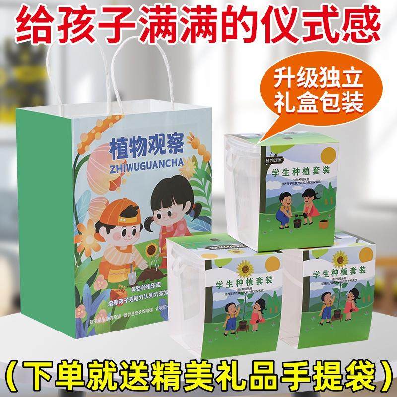 儿童种植小盆栽向日葵种孑四季凤仙花种籽学生观察植物太阳花种子,淘宝优惠券,粉丝福利购,淘宝优惠卷