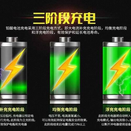 12伏电动喷雾器充电器12V8AH12AH20AH电瓶充电器通用三孔智能通用 - 图0