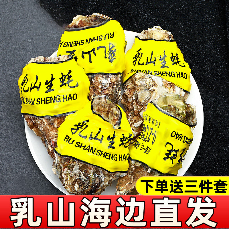 【净重10斤】乳山生蚝鲜活大号肉肥鲜美牡蛎海蛎子海鲜水产烧烤zb,淘宝优惠券,粉丝福利购,淘宝优惠卷