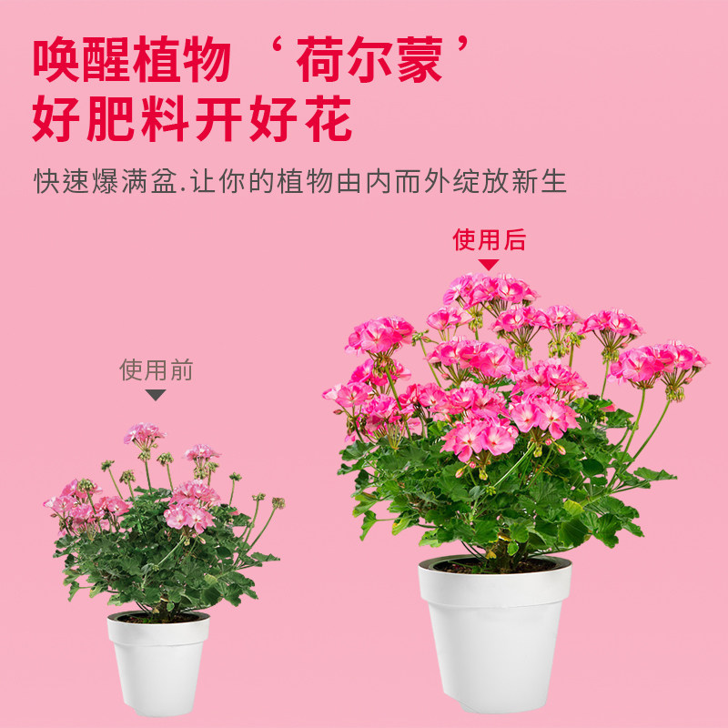 卡纳玛朵花芽爆生素营养液花卉绿植催芽促花水溶肥园艺通用养花肥,淘宝优惠券,粉丝福利购,淘宝优惠卷