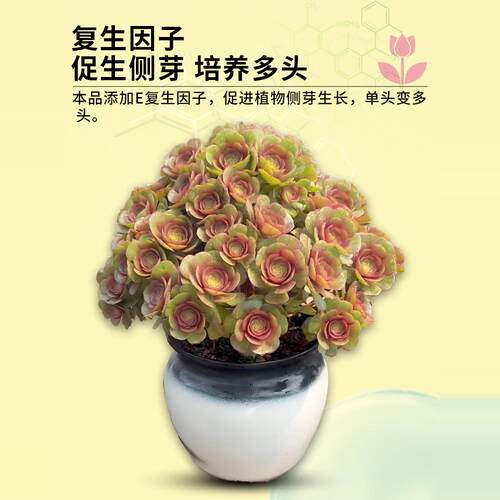 卡纳玛朵优芽素植物通用花卉多肉三角梅促芽催芽有机营养液爆芽素 - 图1