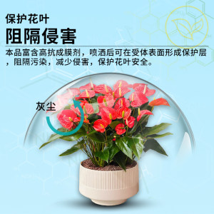 卡纳玛朵花叶康喷雾植物活性剂月季花卉多肉家用园艺养花有机肥