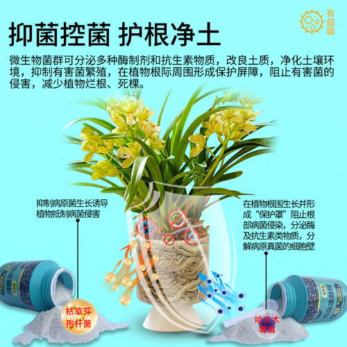 卡纳玛朵活菌粉微生物菌剂植物通用型水溶肥养根壮根改土有机花肥 - 图1