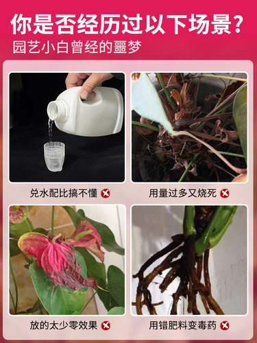 红掌专用免稀释营养液植物活力促生长绿植生根氮磷钾肥料液体肥料 - 图0