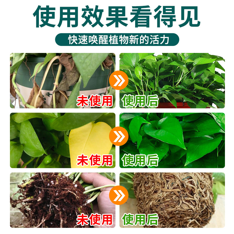 植物叶面肥绿植免稀释营养液发财树绿萝一喷绿促生长叶绿素叶面肥-图3