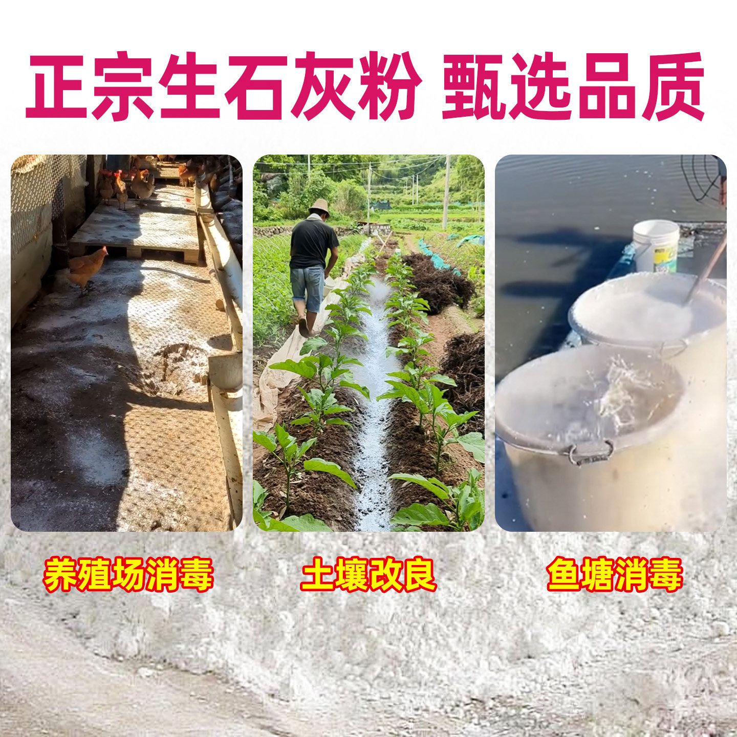 种菜生石灰粉杀菌消毒杀虫驱虫剂干燥剂改善水质改良土壤防霉防病,淘宝优惠券,粉丝福利购,淘宝优惠卷