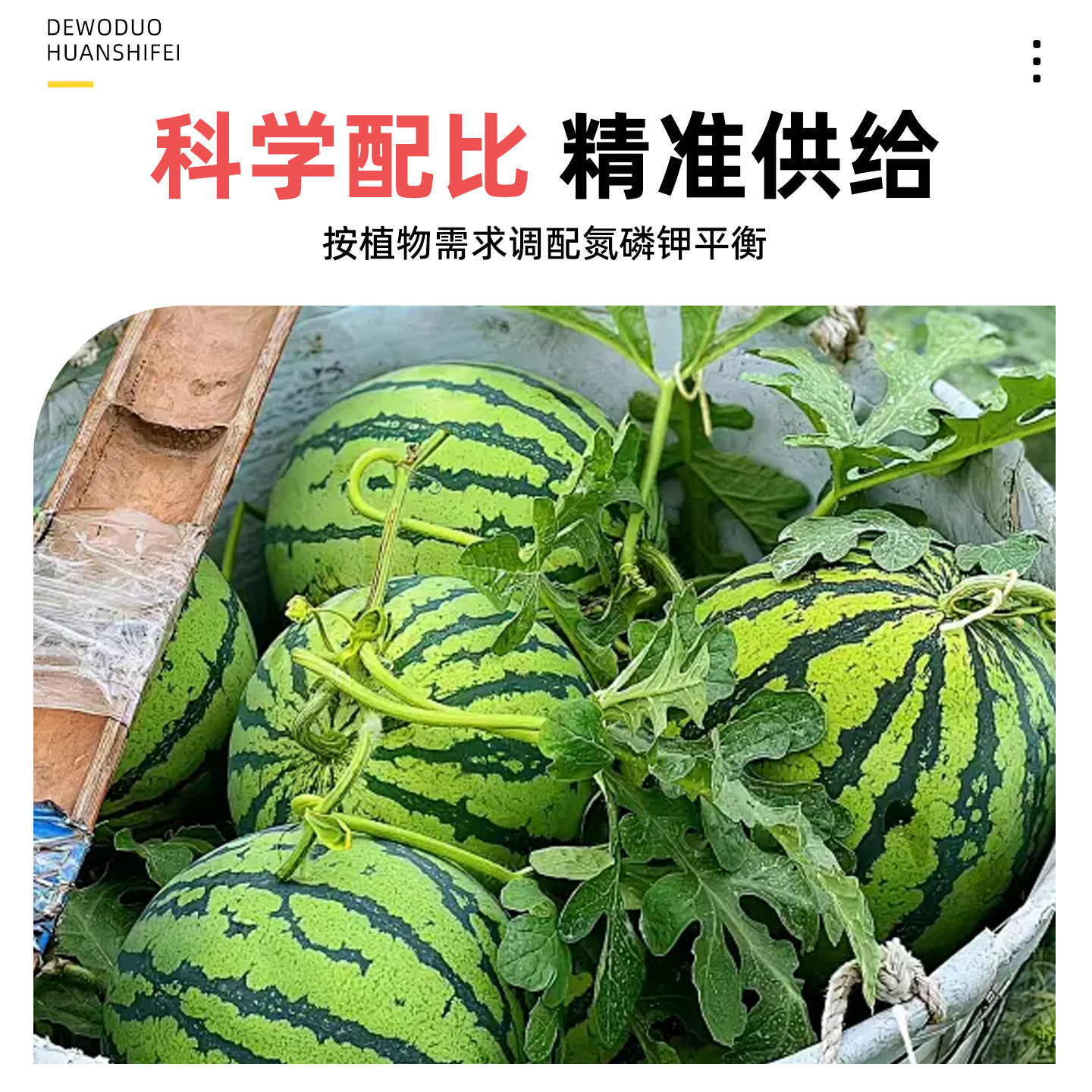 西瓜专用肥料复合肥花肥肥料通用养花肥料蔬菜农用种菜花卉专用,淘宝优惠券,粉丝福利购,淘宝优惠卷