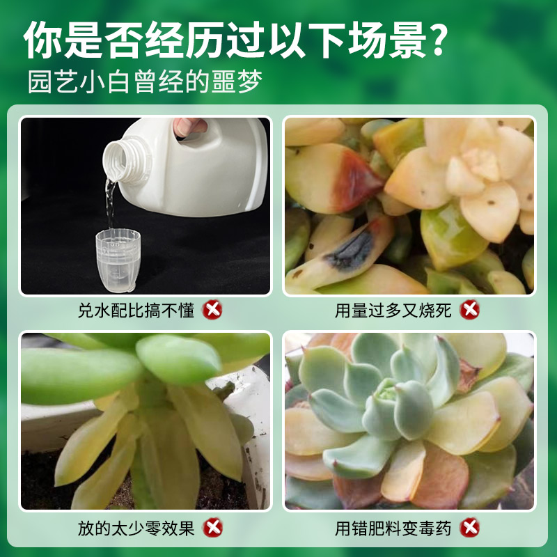 免稀释多肉营养液专用营养液专用肥即喷花肥料肉肉植物家用通用型 - 图0