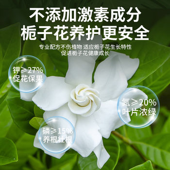 ຝຸ່ນ Gardenia ຝຸ່ນຊີວະພາບພິເສດການແກ້ໄຂການອອກດອກຂອງພືດໃນຄົວເຮືອນການປູກດອກໄມ້ພິເສດ potted plant ຝຸ່ນອາຊິດດອກທົ່ວໄປ