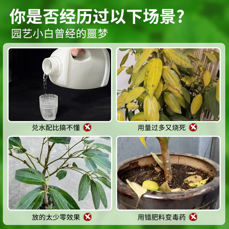 平安树专用免稀释营养液肥料防治叶子发黄干尖绿植通用催根促生长,淘宝优惠券,粉丝福利购,淘宝优惠卷