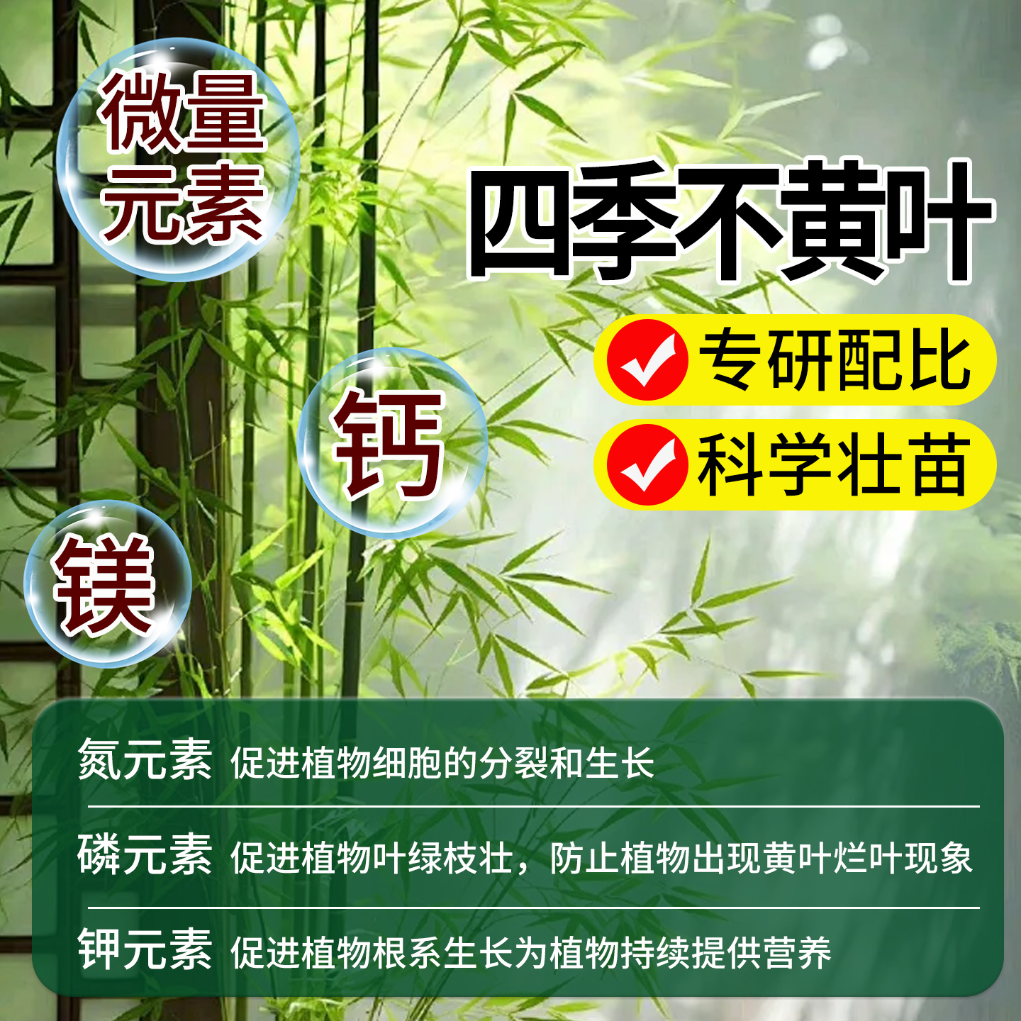 竹子专用营养液治叶子发黄水培植物通用型室内盆栽绿植液体肥料 - 图2