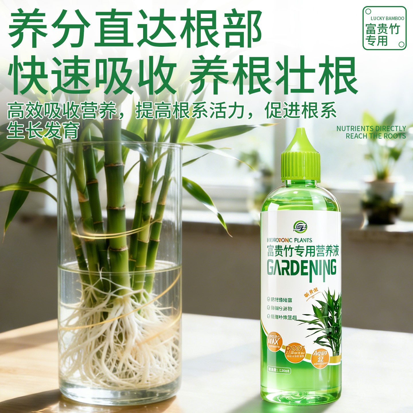 富贵竹水培专用营养液植物通用型盆栽壮根治发黄增亮水培植物肥料,淘宝优惠券,粉丝福利购,淘宝优惠卷