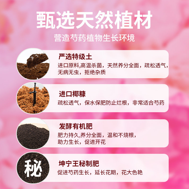 芍药花专用营养土养花通用型花土家用阳台盆栽种植土壤牡丹有机土