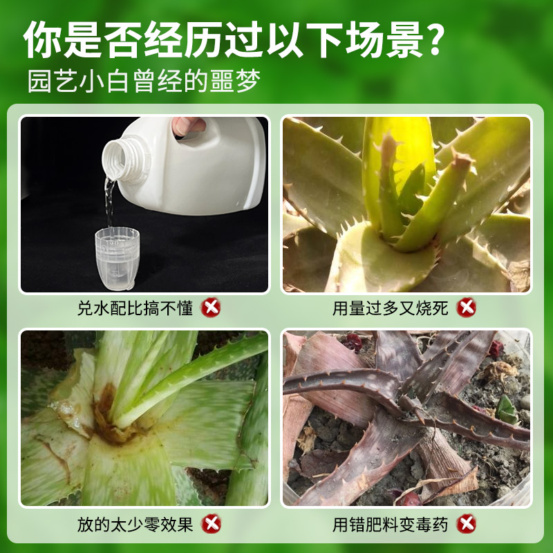 芦荟专用免稀释营养液有机液体植物肥料防烂根急救枯叶浓缩促生长 - 图0