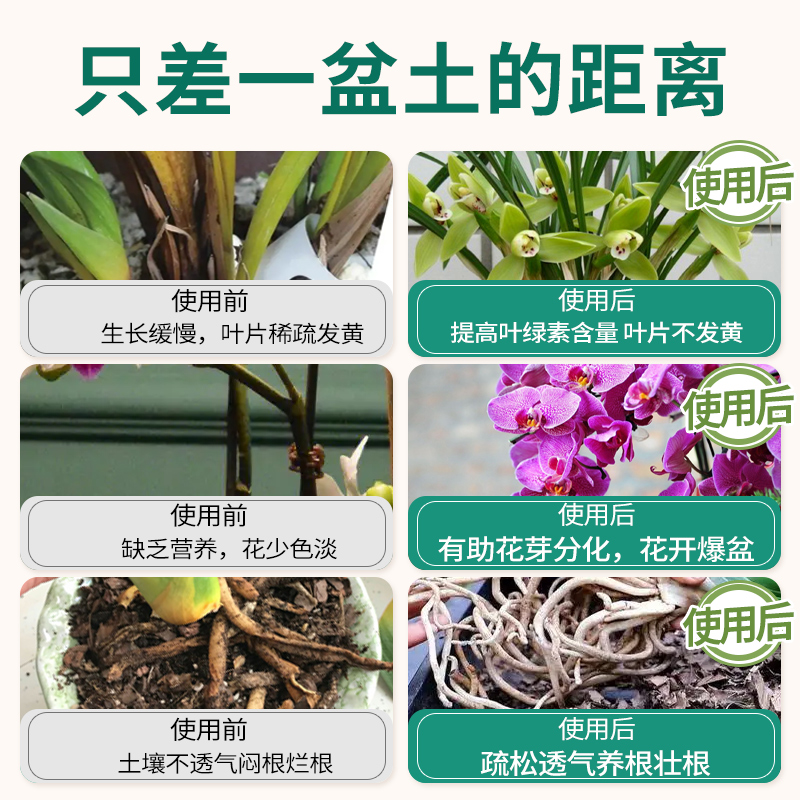兰花专用土养兰花植料营养土君子兰蝴蝶兰种植颗粒松树皮通用肥料-图3