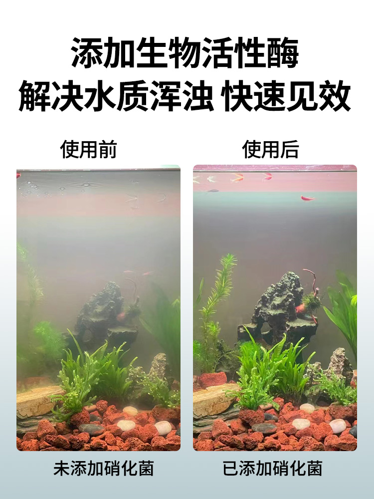 硝化细菌鱼缸用净水剂养鱼水质稳定剂水族鱼药消毒鱼用消化活菌液 - 图1