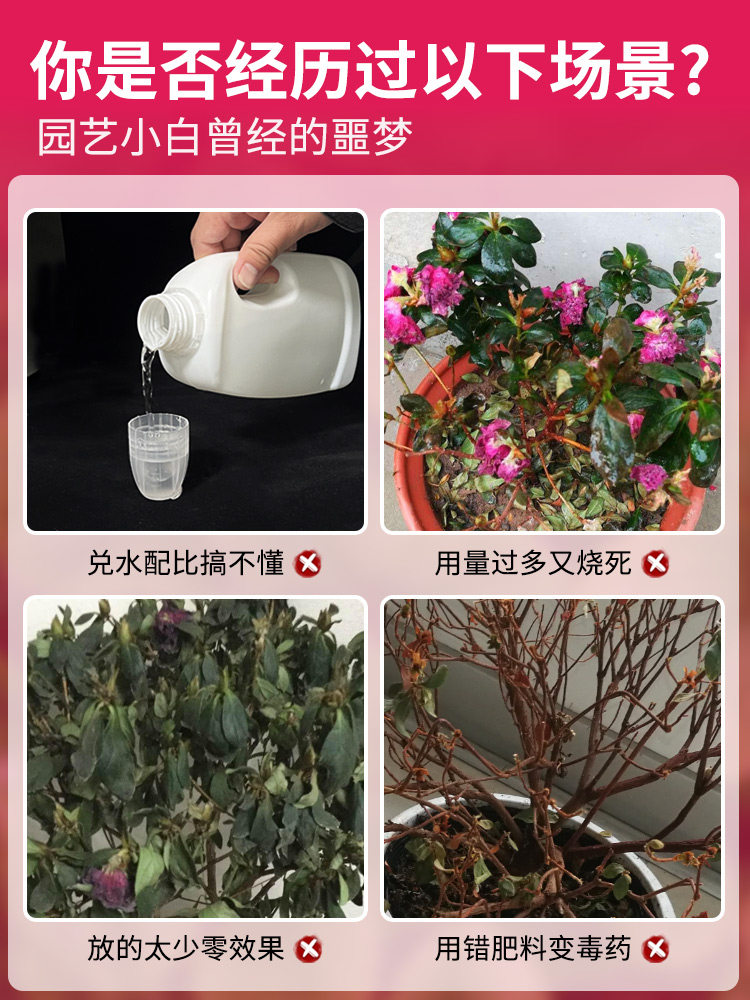 杜鹃花免稀释专用营养液有机种植叶面肥料促开花喜酸植物盆栽家用,淘宝优惠券,粉丝福利购,淘宝优惠卷