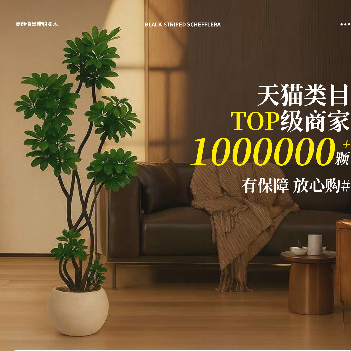 造型鸭脚木客厅绿植高级感室内大型盆栽高端大气上档次落地鸭掌木,淘宝优惠券,粉丝福利购,淘宝优惠卷