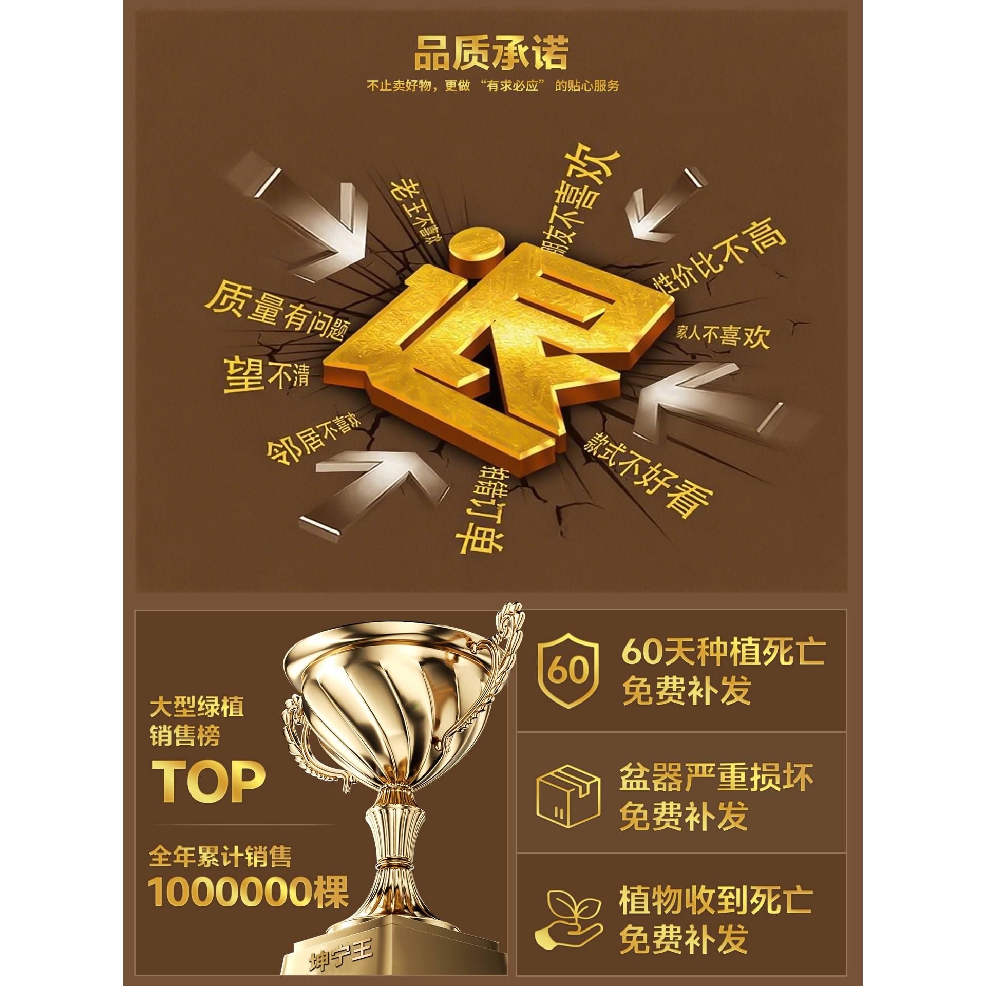 黑金刚橡皮树客厅大盆栽造型室内大型绿植四季好养阳台办公室植物,淘宝优惠券,粉丝福利购,淘宝优惠卷