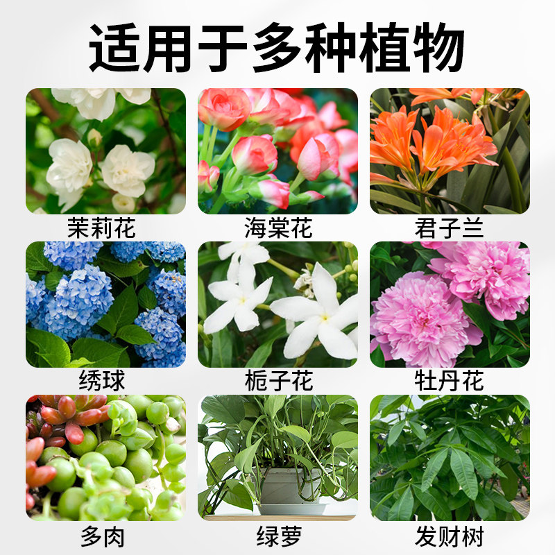 坤宁王硫酸亚铁花肥料水溶肥花卉酸性植物营养液茉莉花栀子花茶花,淘宝优惠券,粉丝福利购,淘宝优惠卷