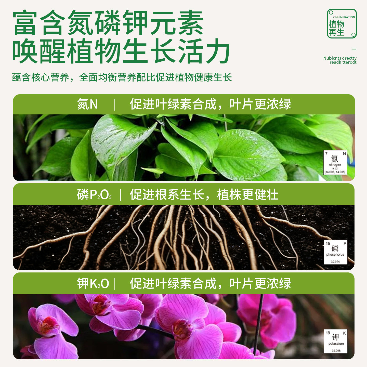 植物再生剂浓缩营养液绿植花卉盆栽通用型多肉花卉发财树专用肥料,淘宝优惠券,粉丝福利购,淘宝优惠卷