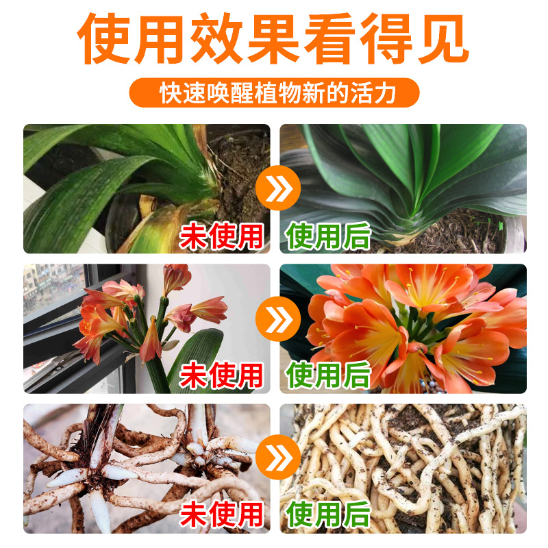 免稀释君子兰肥料专用肥料即喷家用兰花营养液促开花催花通用盆栽,淘宝优惠券,粉丝福利购,淘宝优惠卷