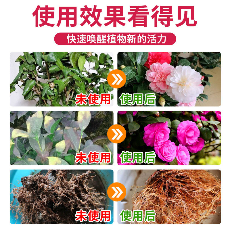 茶花肥料专用肥免稀释营养液山茶花茉莉栀子杜鹃喜酸植物盆栽家用,淘宝优惠券,粉丝福利购,淘宝优惠卷