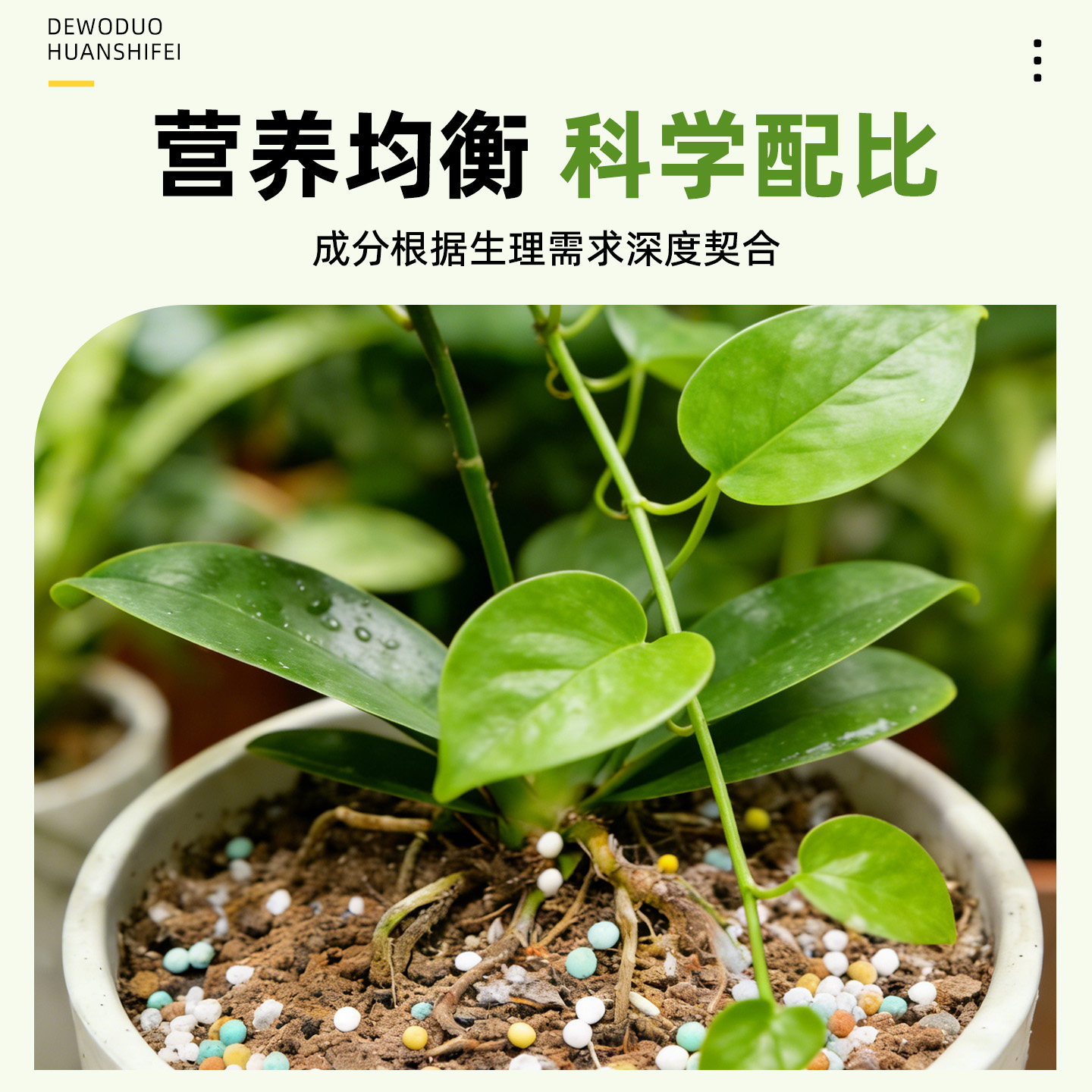 绿萝专用肥料复合肥花肥肥料通用养花肥料蔬菜农用种菜花卉专用,淘宝优惠券,粉丝福利购,淘宝优惠卷