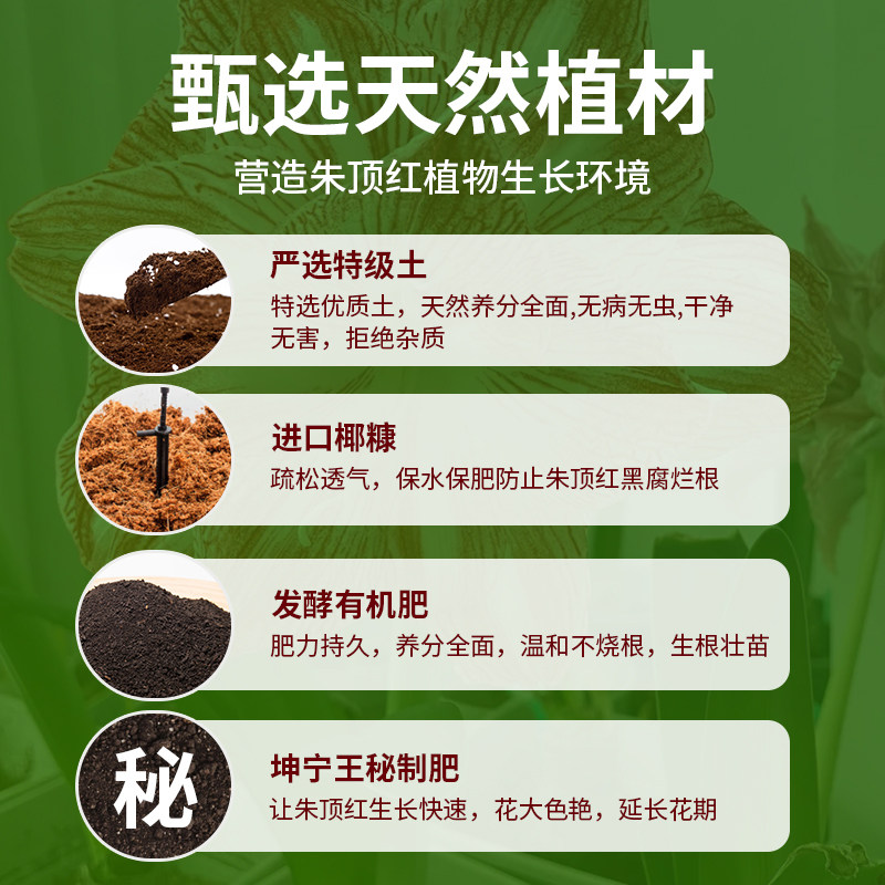 朱顶红专用土球根种球营养土专用肥料花卉养花种植土壤家用有机土