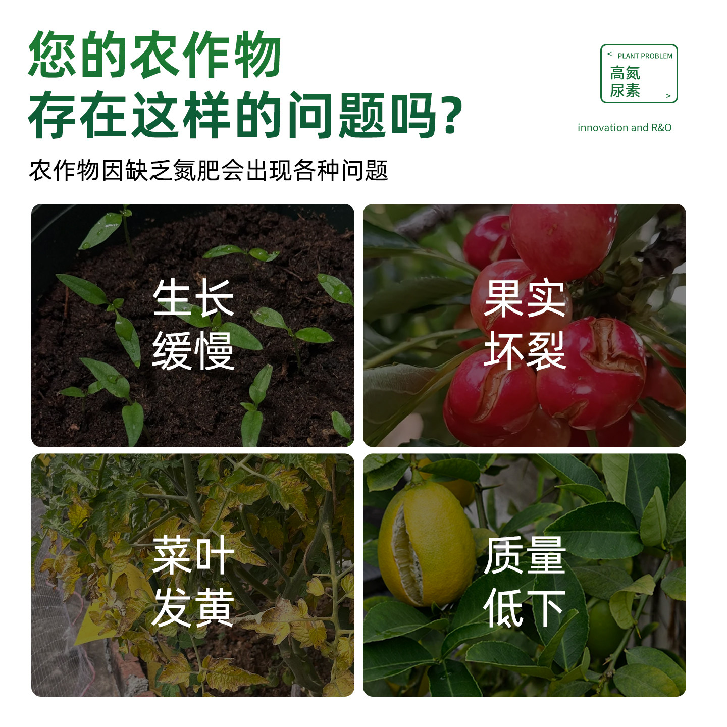 尿素肥料氮肥农用蔬菜养花果树通用型速效高氮复合肥颗粒肥水溶肥,淘宝优惠券,粉丝福利购,淘宝优惠卷