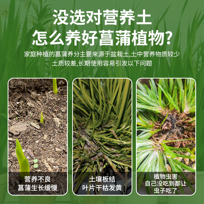 菖蒲专用营养土金钱菖蒲虎须菖蒲专用盆栽肥料花泥土植物有机土壤-图0