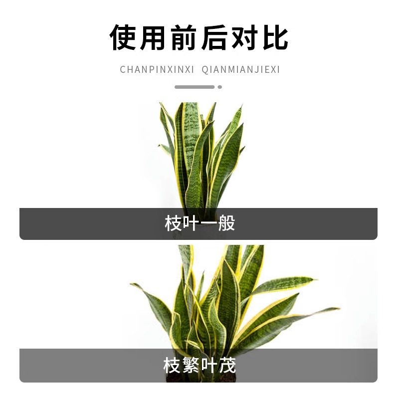 虎皮兰肥料专用肥营养液虎尾兰金边家用盆栽植物通用土水培叶面肥,淘宝优惠券,粉丝福利购,淘宝优惠卷