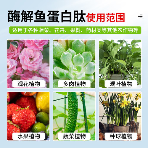鱼蛋白水溶肥料微生物菌剂酶解氨基酸瓜果蔬菜通用冲施喷雾叶面肥 - 图2