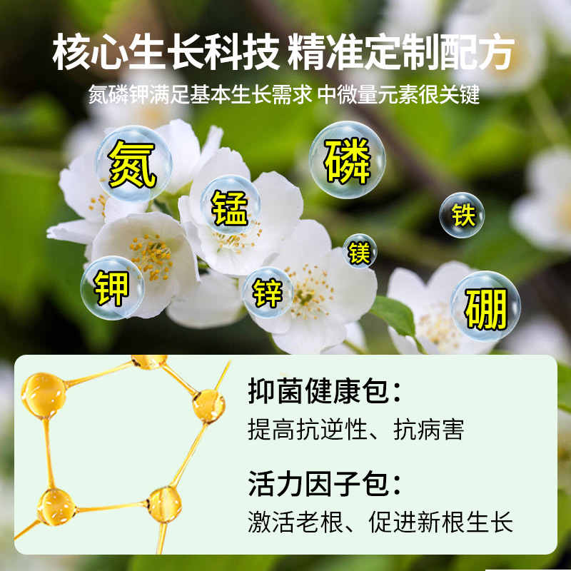 茉莉花肥料专用肥营养液酸性植物家用养花肥料盆栽茉莉花通用肥料