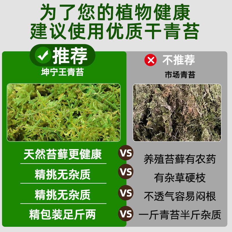 蝴蝶兰专用青苔干藓苔兰花石斛种植水苔专用土营养土植料乌龟水台,淘宝优惠券,粉丝福利购,淘宝优惠卷