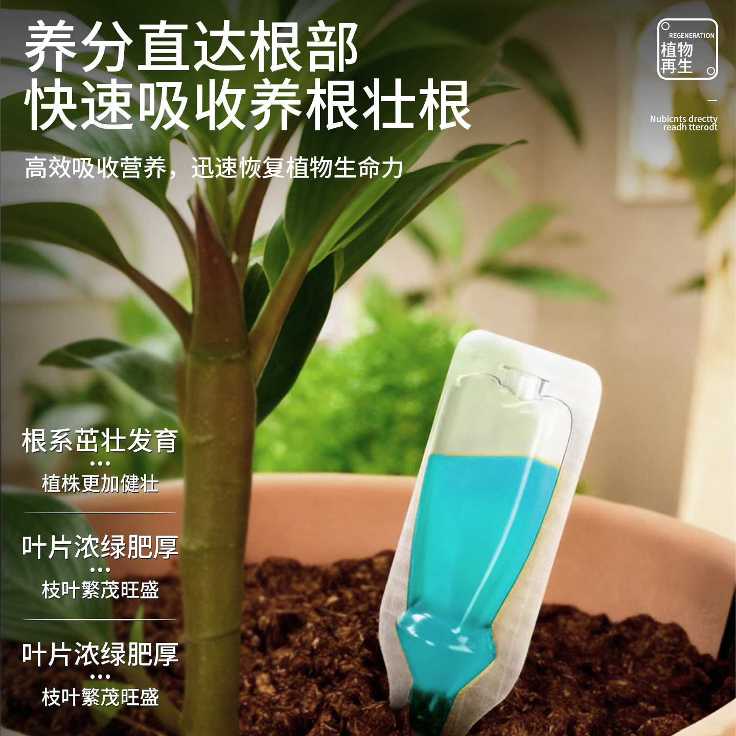 植物再生剂浓缩营养液绿植花卉盆栽通用型多肉花卉发财树专用肥料,淘宝优惠券,粉丝福利购,淘宝优惠卷