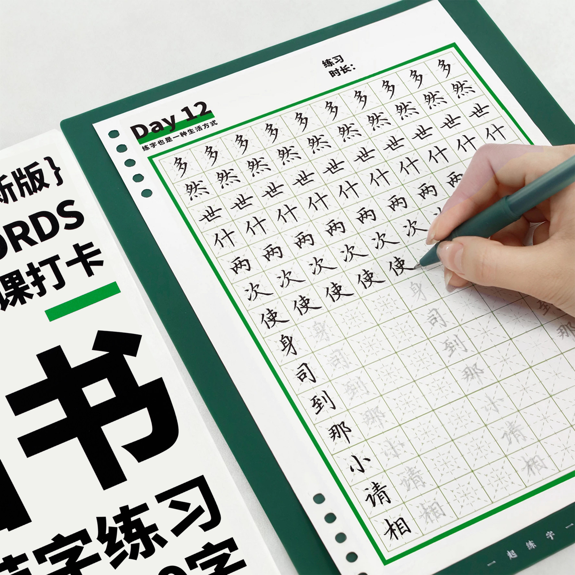 一起练字楷书字帖成人练字专用活页日课字帖常用1000字硬笔书法入门大学生成年规范字小学生字体成人硬笔字帖临摹描红本正楷书法纸