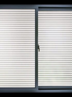 WindowFilmrostePvacyS