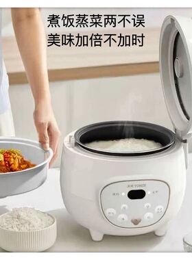 天际小型电饭煲宿舍智能煮粥煲汤