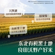 Yingshi organic germ rice nutritional porridge