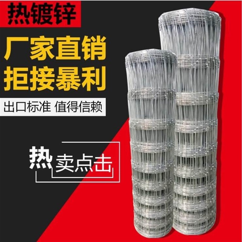  洛姆熊动力电池单体/模块/系统