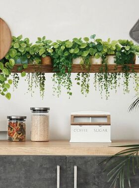 Green Plant Hanging Basket Wall Stickers for Living Room Dec