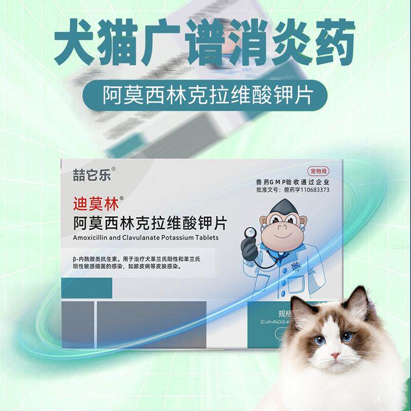 宠物狗狗猫咪猫感冒鼻支膀胱炎感染伤口消炎药口炎咳嗽阿莫西林