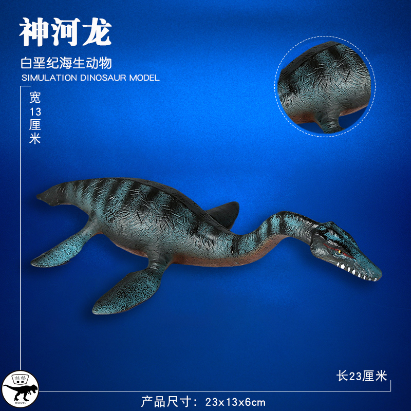 林畅模玩儿童海洋恐龙玩具神河龙模型仿真动物远古生物史前巨兽 - 图0