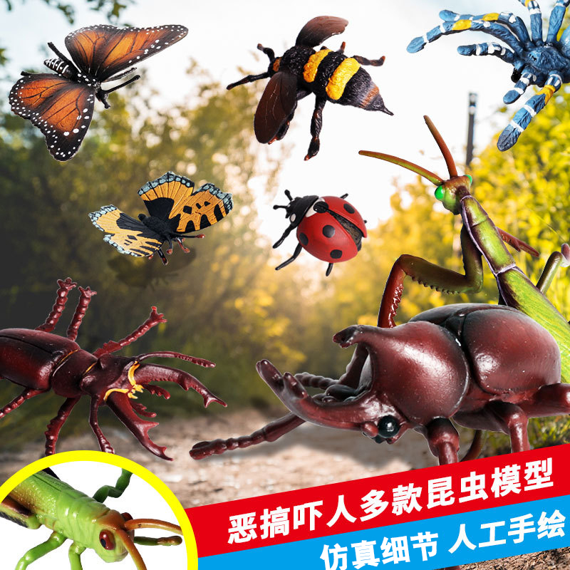 林畅模玩儿童仿真昆虫模型玩具动物蝴蝶蜜蜂蝎子蚱蜢螳螂蜘蛛蜥蜴 - 图3