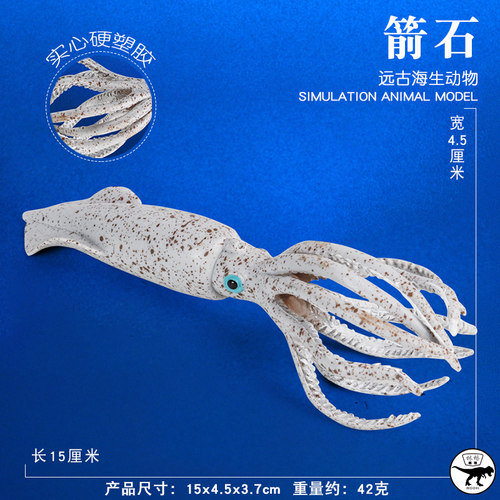 林畅模玩史前海洋生物巨箭石模型泥盆纪动物远古鱿鱼儿童仿真玩具 - 图0