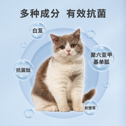 安百创宠物猫狗皮肤抗菌护理液外用创伤消毒